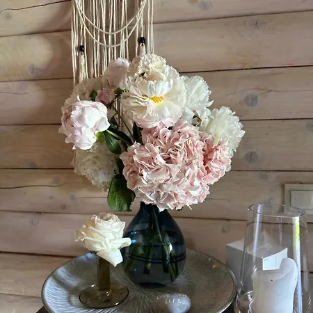 Sandal 게스트하우스 4*