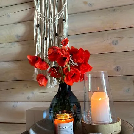 Sandal Casa de hóspedes Shayan